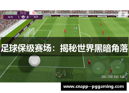 足球保级赛场：揭秘世界黑暗角落