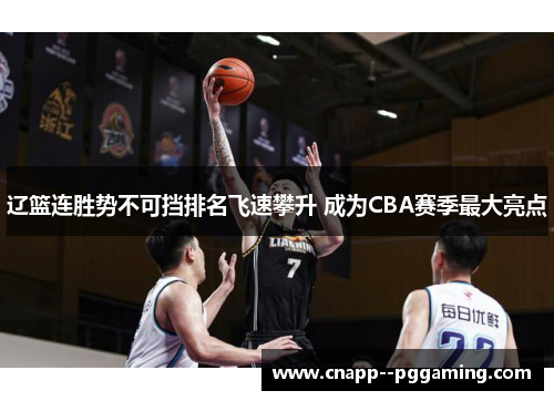 辽篮连胜势不可挡排名飞速攀升 成为CBA赛季最大亮点