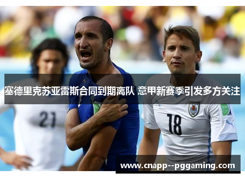 塞德里克苏亚雷斯合同到期离队 意甲新赛季引发多方关注