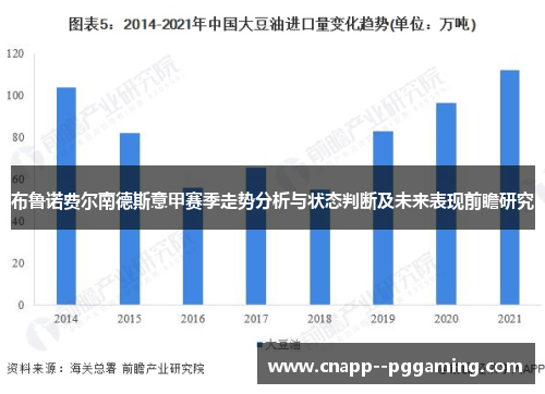布鲁诺费尔南德斯意甲赛季走势分析与状态判断及未来表现前瞻研究
