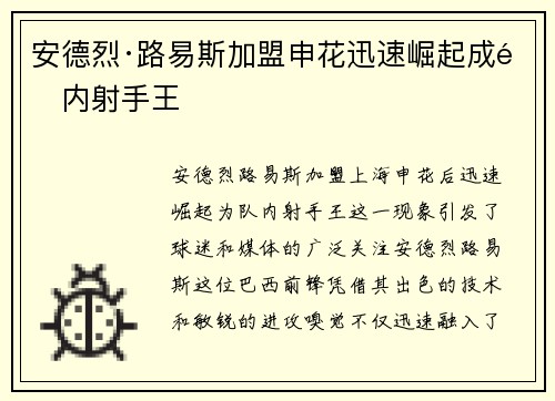 安德烈·路易斯加盟申花迅速崛起成队内射手王