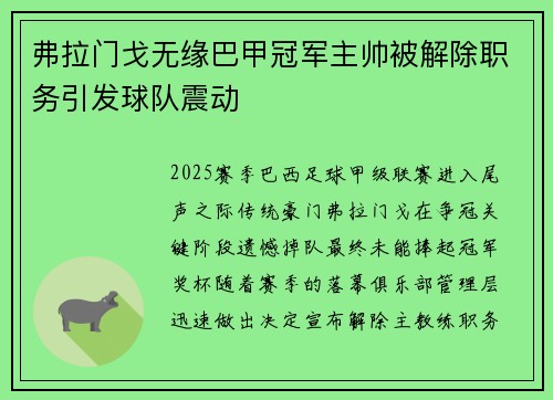 弗拉门戈无缘巴甲冠军主帅被解除职务引发球队震动